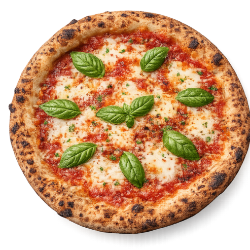 ChatGPT Image 7 févr. 2026, 13_23_02